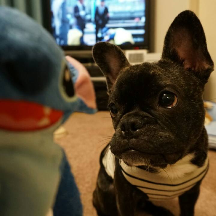 30e31e85 a0c6 4b0d 976f 8b802ad9aeb7