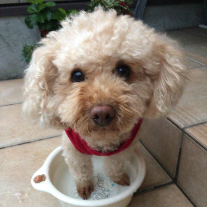 30e49e16 796e 4d2e 8996 198b115d97d8