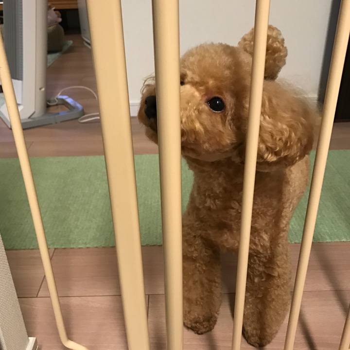 30e4b390 3559 447b aa25 dabe2581ccd4