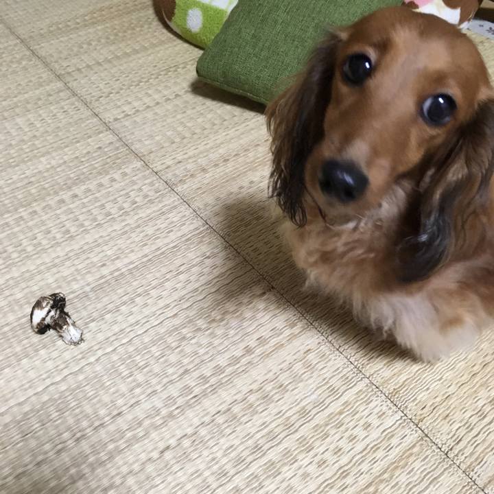 30e51638 bf1f 4a12 a524 19452f730d46