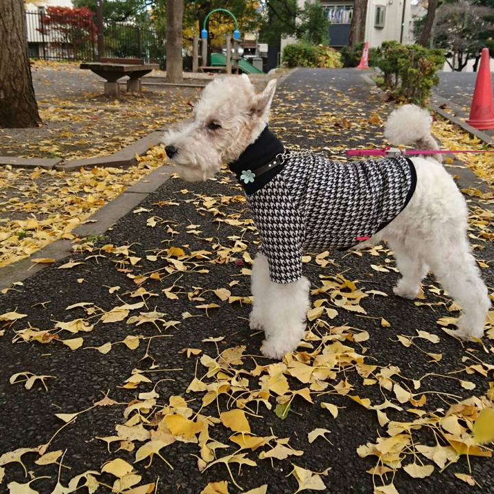 30e551d5 f167 48f6 afe0 582f0afa7b67