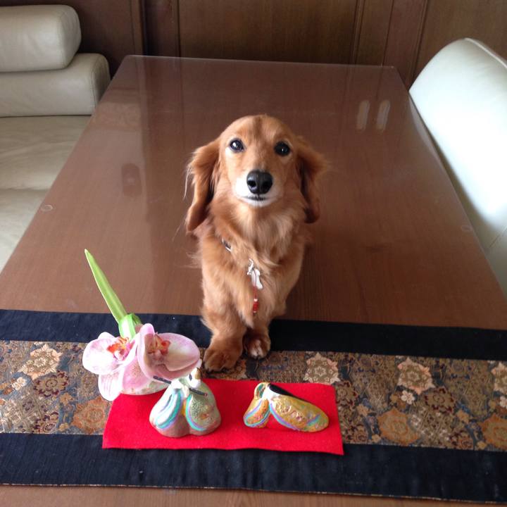 30e5d611 0ad3 4d8a 9197 e98df61d38e2