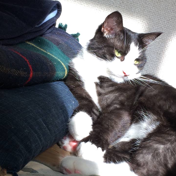 30e63c9d bcee 4b4a 9c28 e359c1c6567b