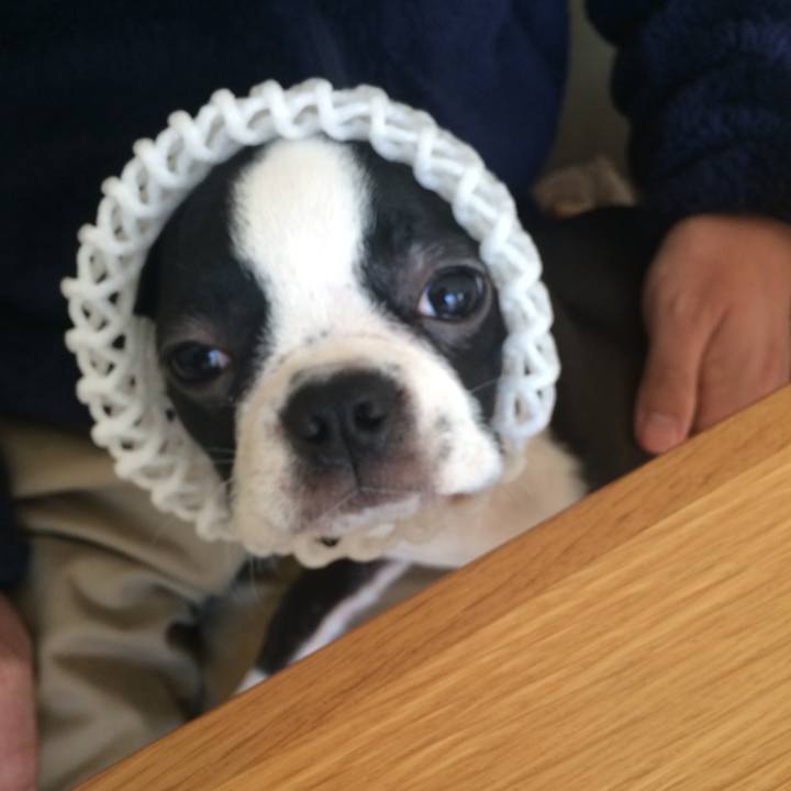 30e691d7 2c24 4f33 b791 1e9c3ad7206d