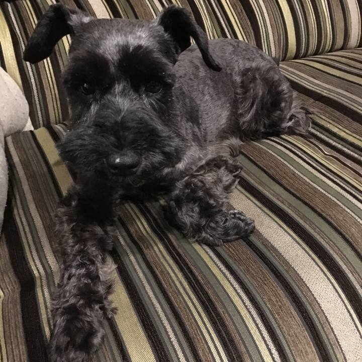 30e6de6a b34c 46d7 a263 75ff716c1dfa