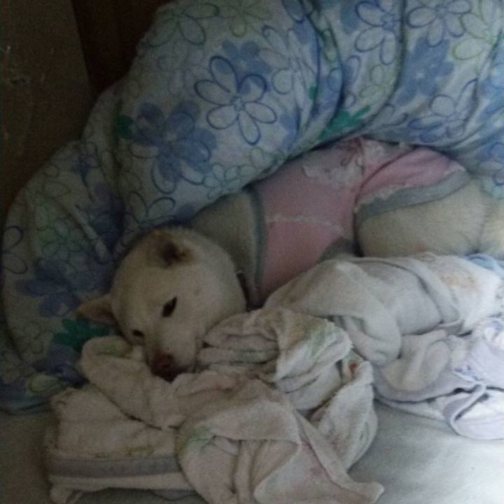 30e7c026 dd84 4299 a0dd b4832d5bb207