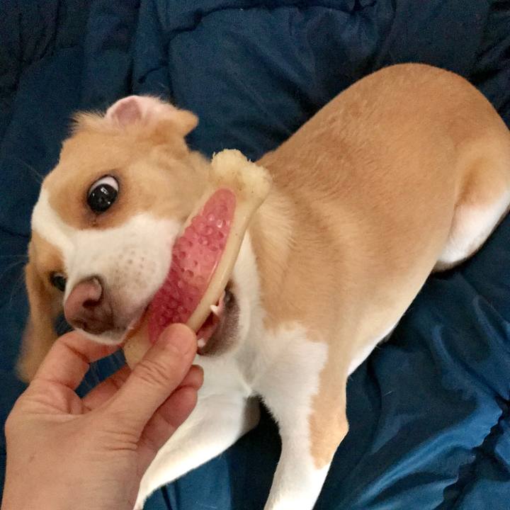 30e7d676 e1dc 4593 8016 50a858e22454