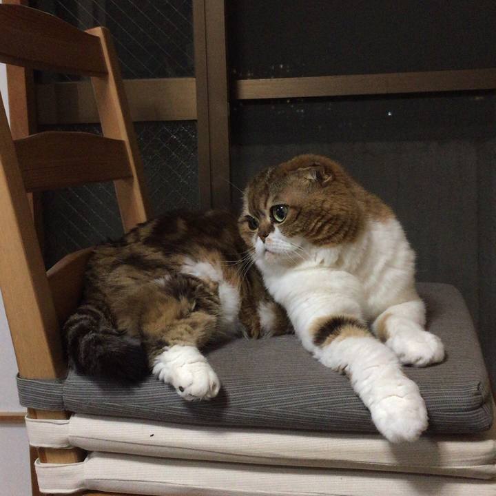 30e7df6c 5a1e 4988 bd87 7a5f5aeb0cba