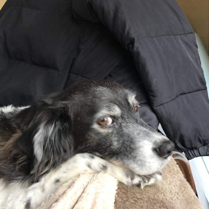 30e7e342 453a 4eb8 a0b6 18cff4ab6130