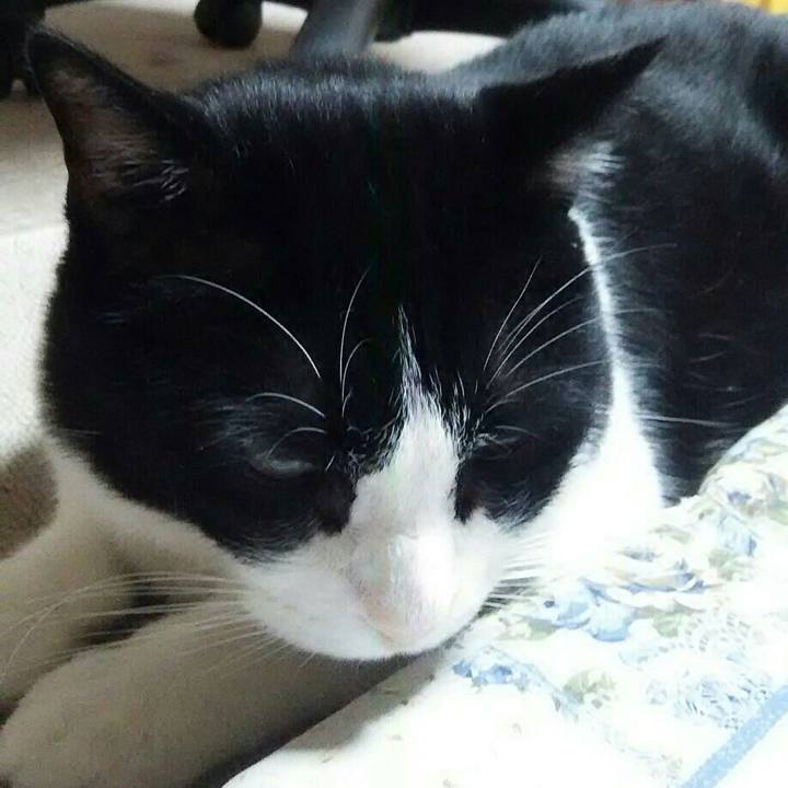 30e884e2 5634 41d2 9b6b 5381753e3bf7