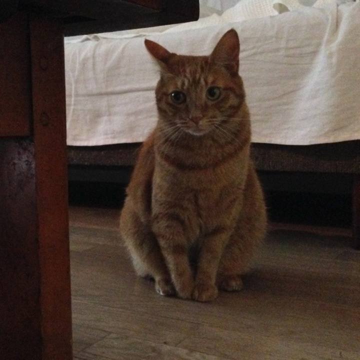 30e88c89 a179 472b af92 a5c1d41750c6