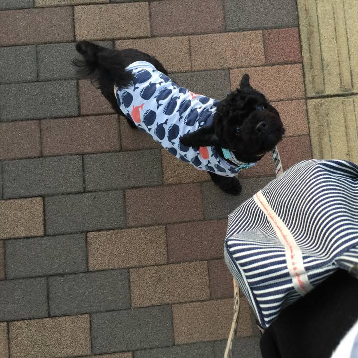 30e8aa0e 75b9 417e 9f25 4c3382daa841