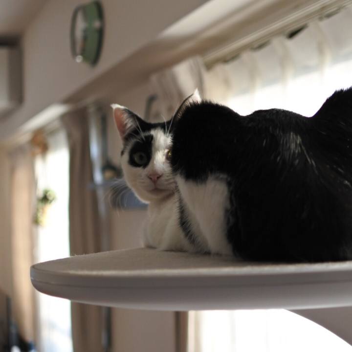 30e8c94f fb5b 4e63 9405 0db93d5a71b0