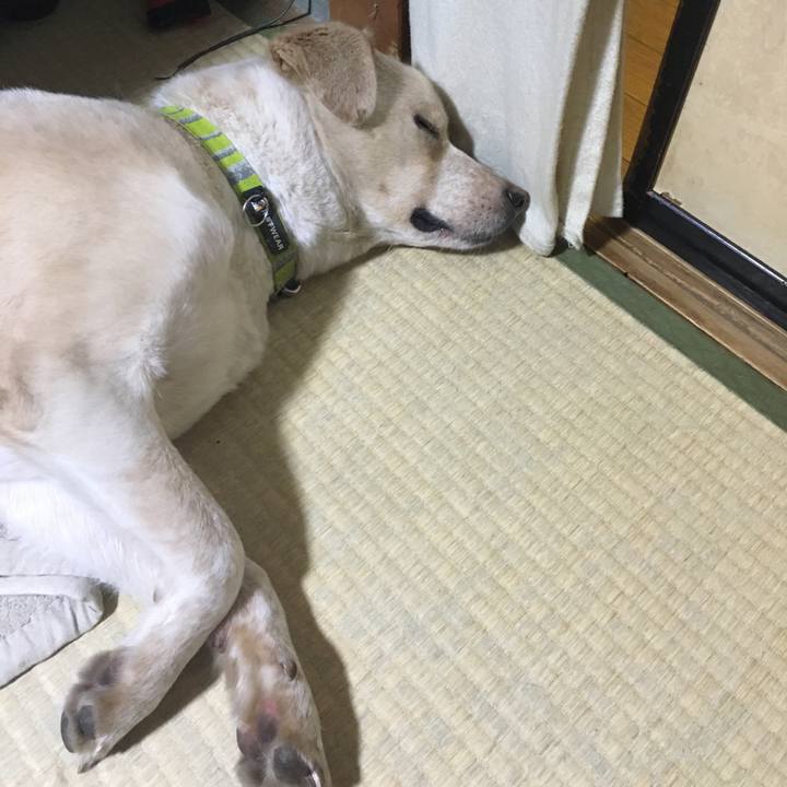 30e8d727 fc6d 45ad 9663 73d5259ef18a