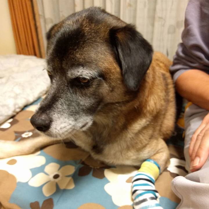 30e8d9c0 862c 48b2 8151 7181eb618e36