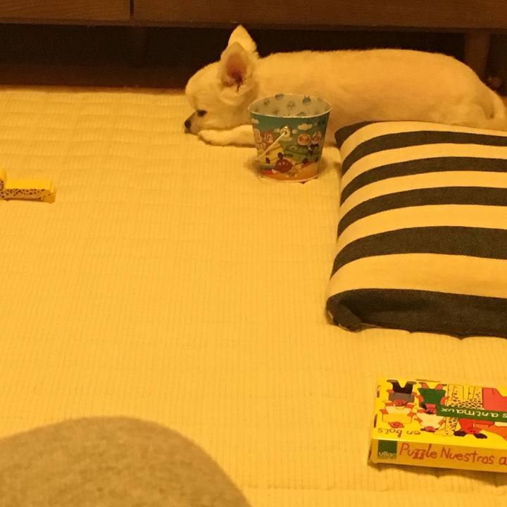 30e8e468 f8af 4e0d 9da1 44df66566438