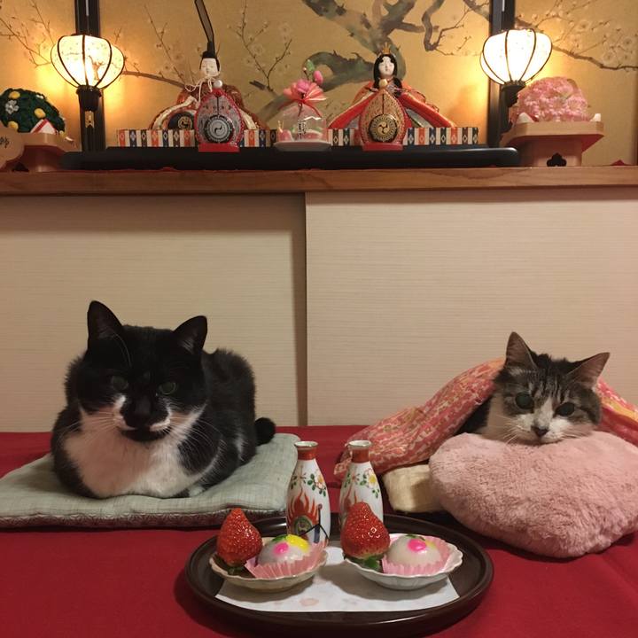 30e909e9 e7d3 4d5e 93cc 2a6e7748e32a