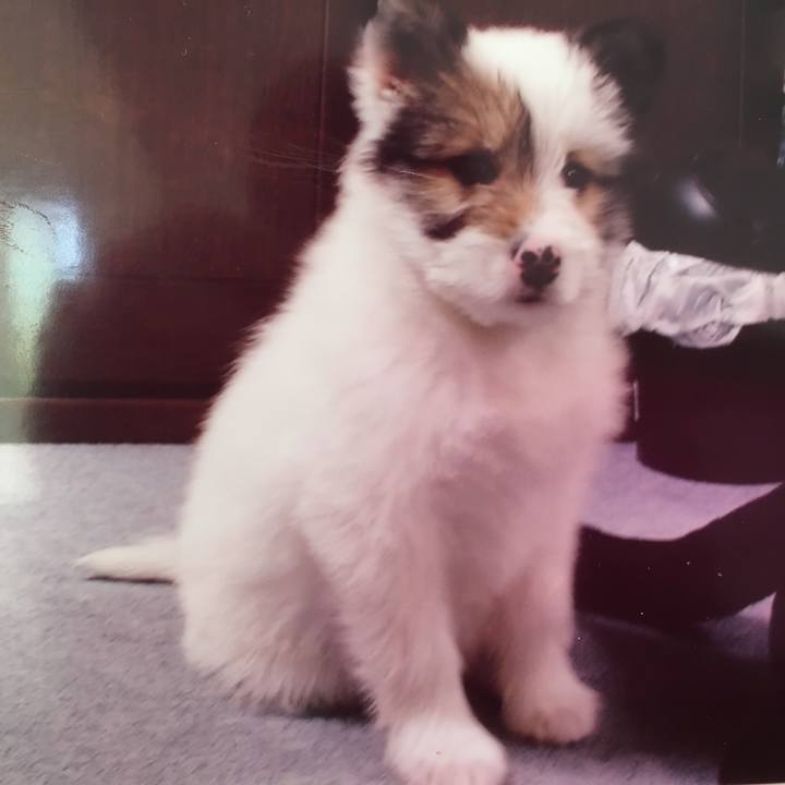 30e9ff80 acd2 4a67 9e0c 067e31c7921f