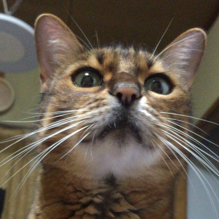 30ea002e ae64 4cee a6b2 507c0a01712e