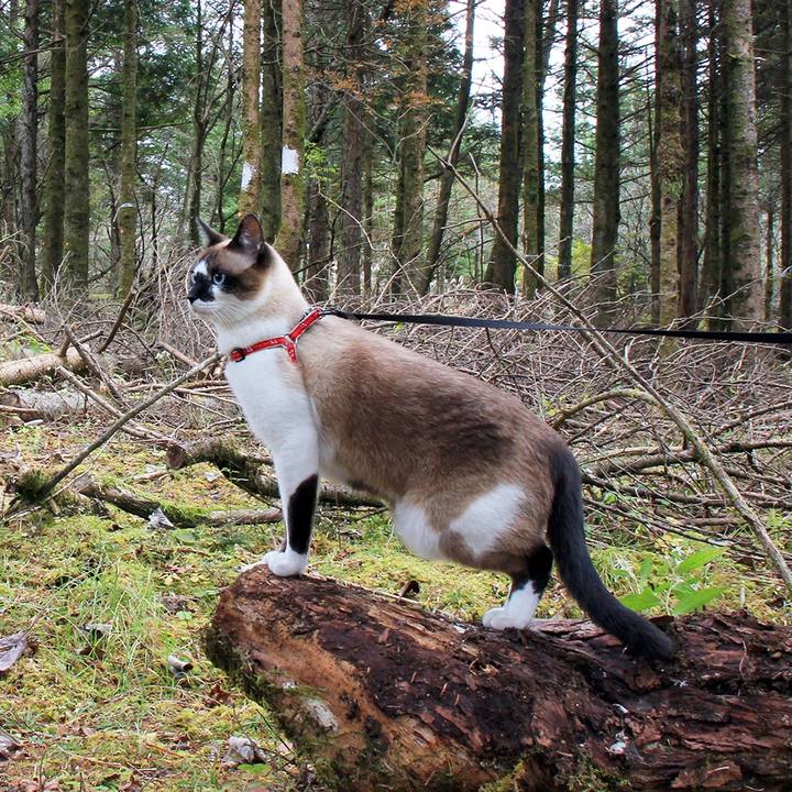 30ea456f 2086 4ef7 881b 666f928a1985