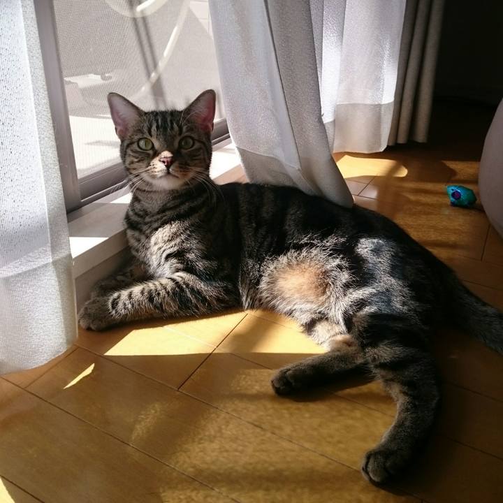 30eaee1b b2dc 49ca b9a4 4c164cc8a293