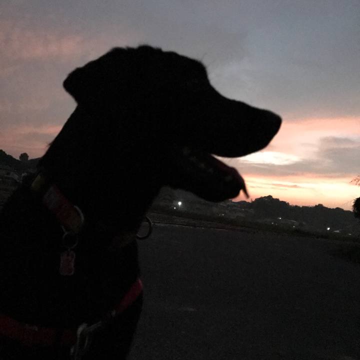 30eb603d 4964 443e b77e 55d4c57f9106