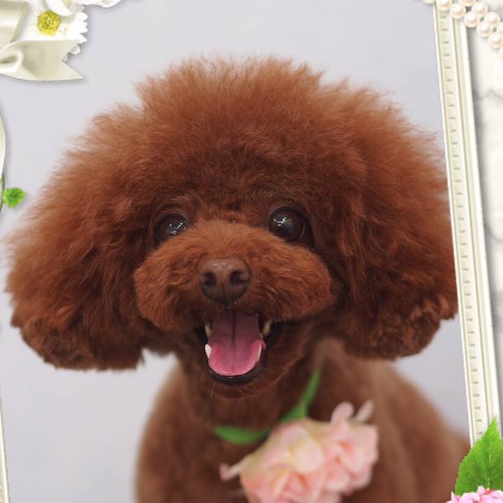 30eb718c 6bef 4005 9c6d bae213727556