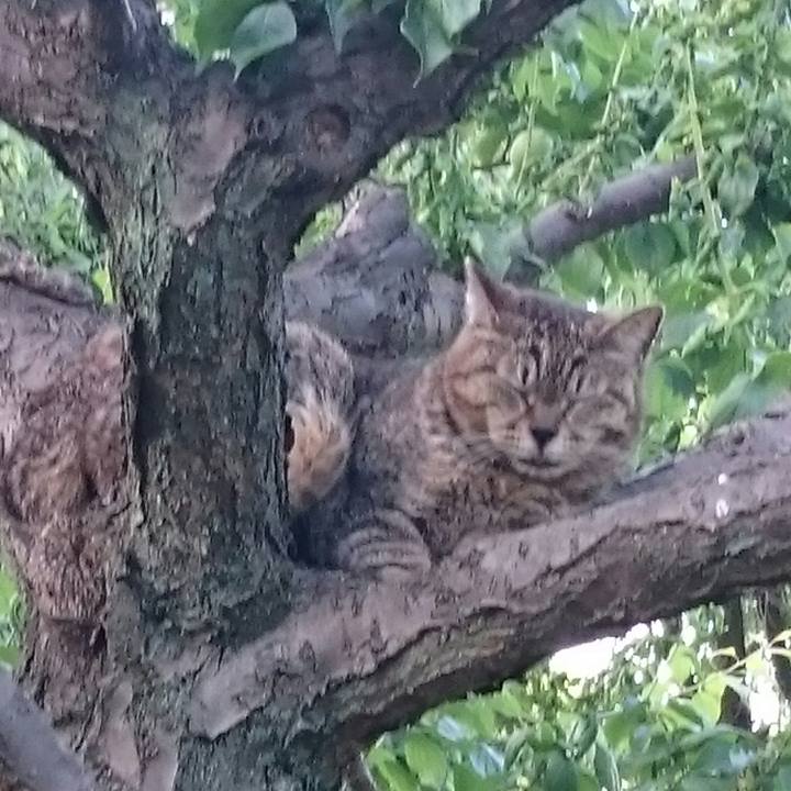 30eb9ccf 017a 4c9f b8f2 f6bb93a5b1f7