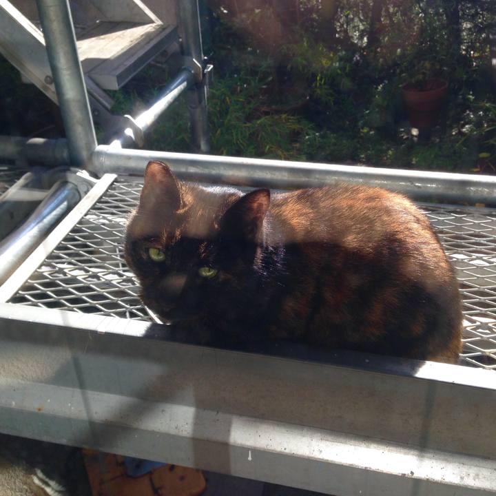 30ebf991 f7a7 4bac a60e 75d4d46b7af6