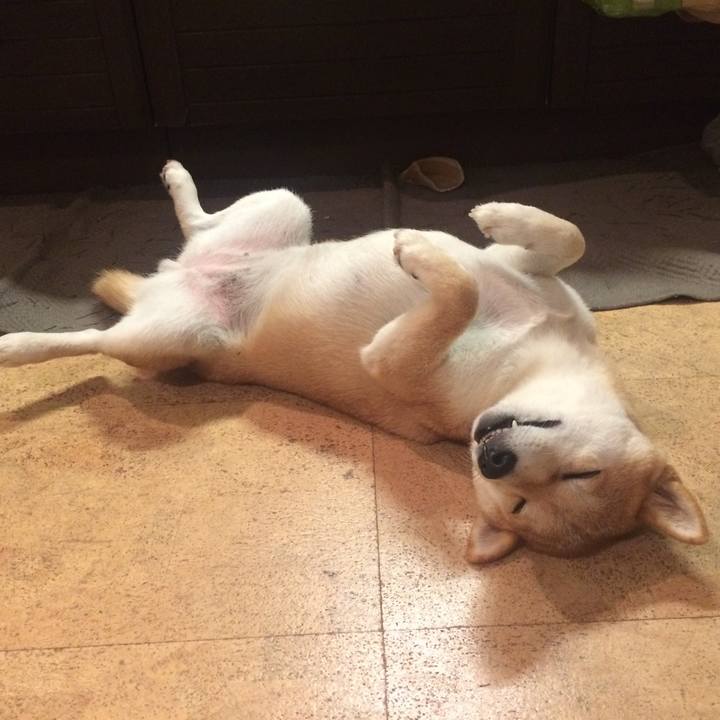 30ec3e13 1fe8 44a8 87cd 6cb80112a794