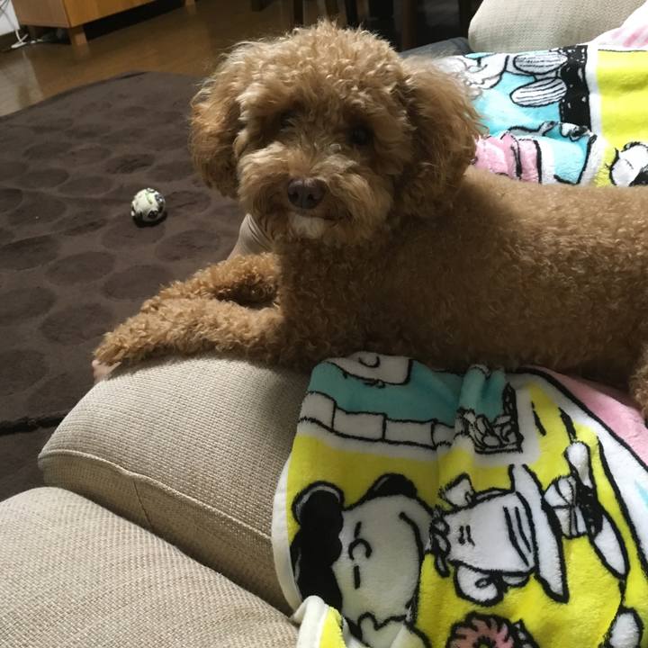 30ecb438 79ed 43f3 bc90 fbd809f9e162