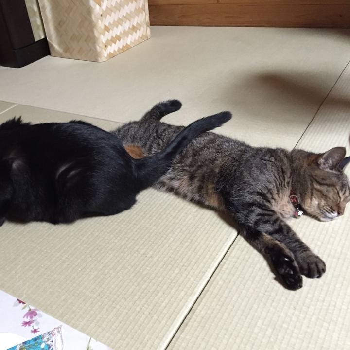 30ecbd77 e2ab 4b24 83a1 54fed2ba1c92