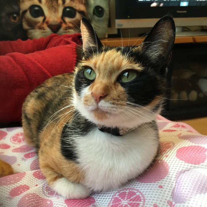 30ed2785 16d1 479a ad2d ff97cd46ff46