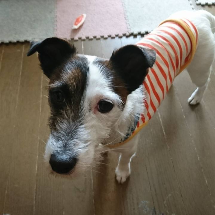 30edb004 0617 4ee1 8762 ff9af07c5d5f