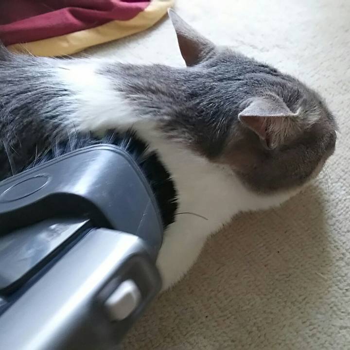 30edfef8 f1df 42b6 9d28 dae5896b0edb