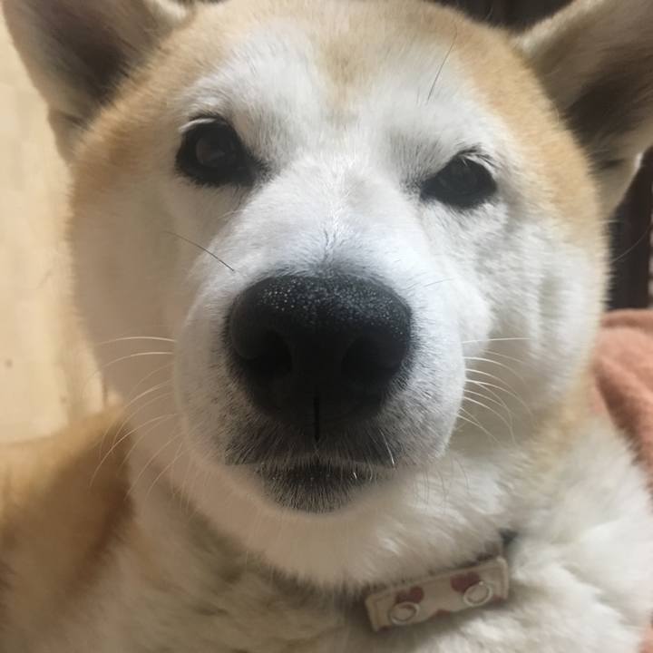 30ee6258 2879 490b ba7e 52806578102d