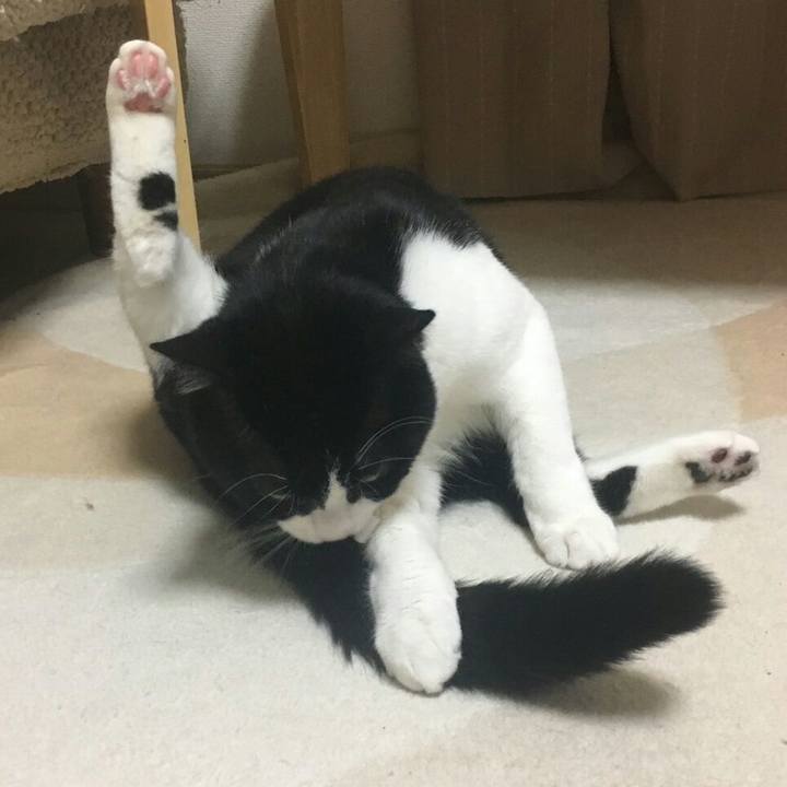 30ee73c8 ccc6 4eeb 89b5 ef1f1bfd8849