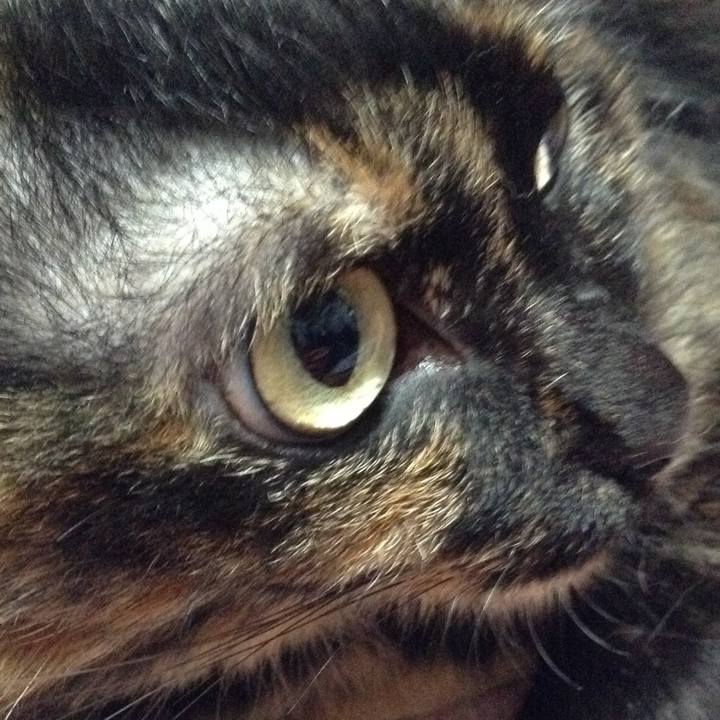 30ee88b6 bd52 4fed 813d 9d9c88173574