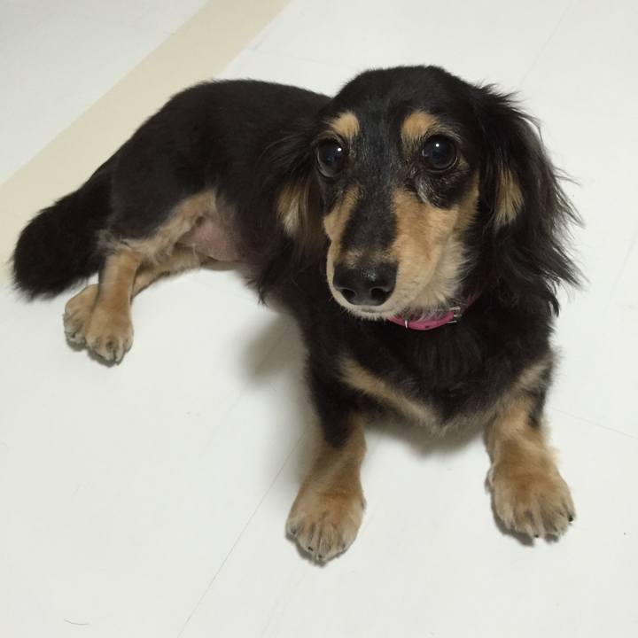 30efa823 3883 460e 904d 7cc09bf5f6ff