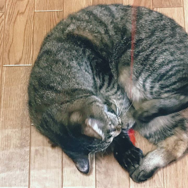 30efb37a 2f9e 4a23 b51b 3ed776950be1