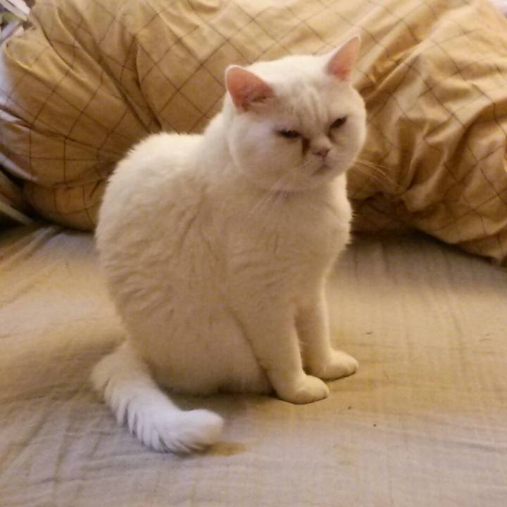 30f08f17 83e6 467e 97fe f15f3a7739b1