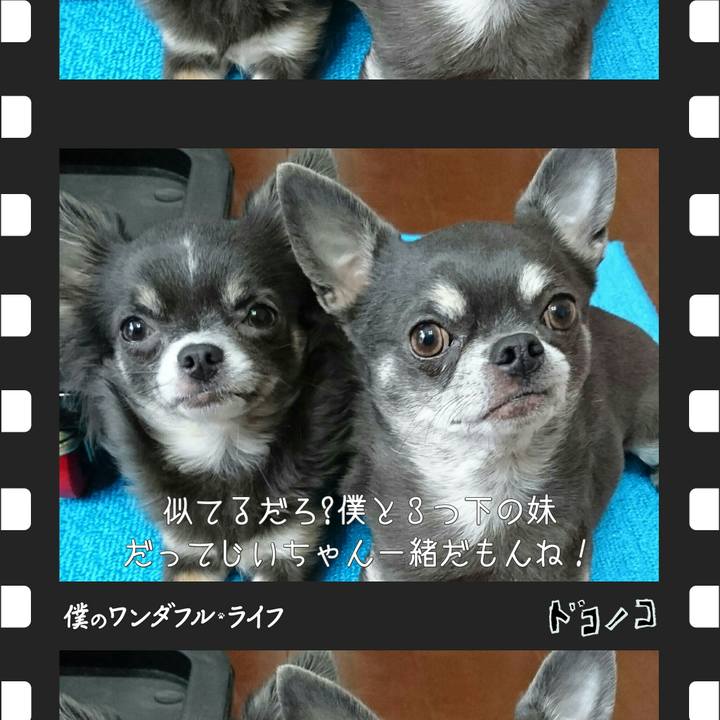 30f0c2a3 9265 41a9 8c31 9d90fde46ae0