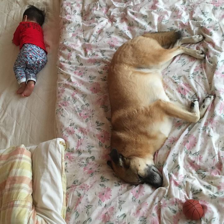 30f17d34 882e 45ad bd7e acb7887a12cf