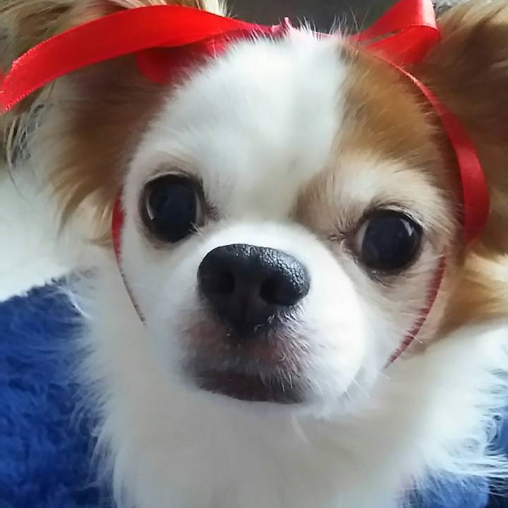 30f18b6e 6ece 4b4e b555 0439235f7e2b