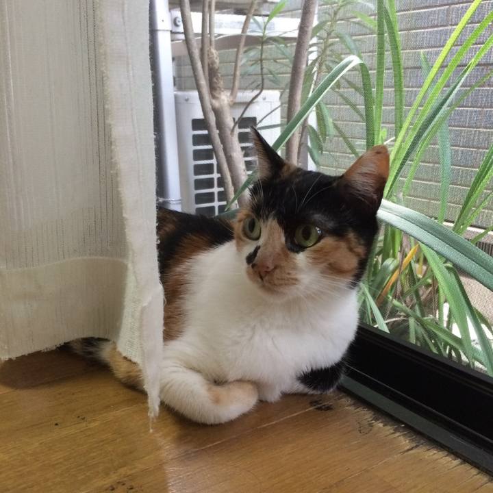 30f1c723 3de2 445a b56f 11673500b94c