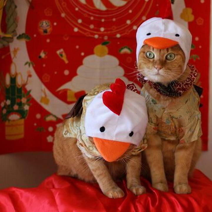 30f21d47 5672 4737 b6cf d9eab9e02a60