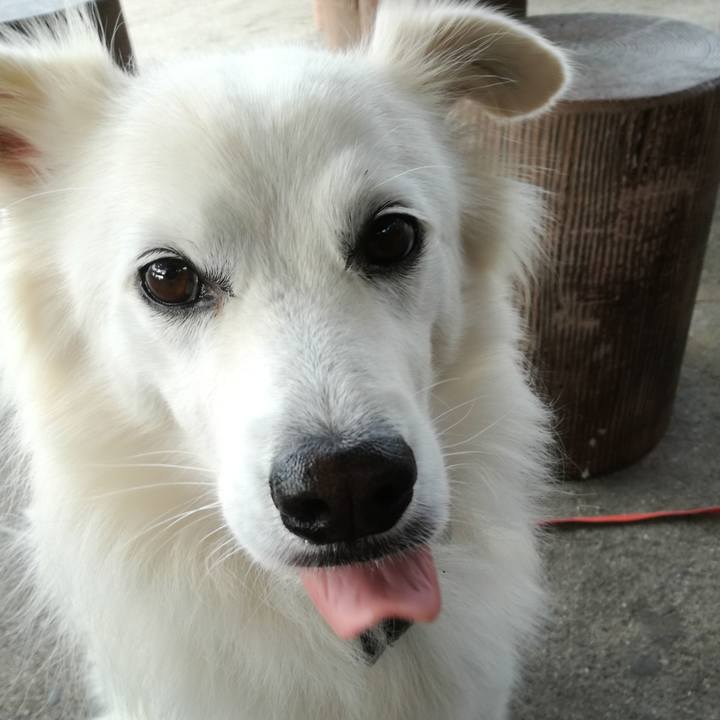 30f23d84 793f 40be bb91 b20b962465c3