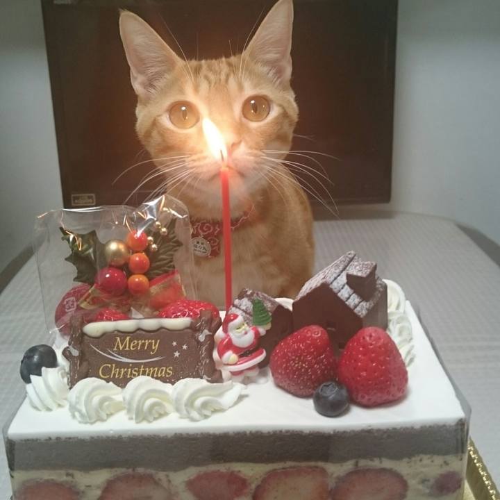 30f33efb 12f4 4376 9412 bd8949bb357d