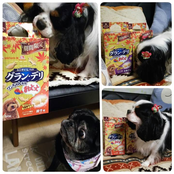 30f42d5c 644a 4604 b025 de77ec10f9e8