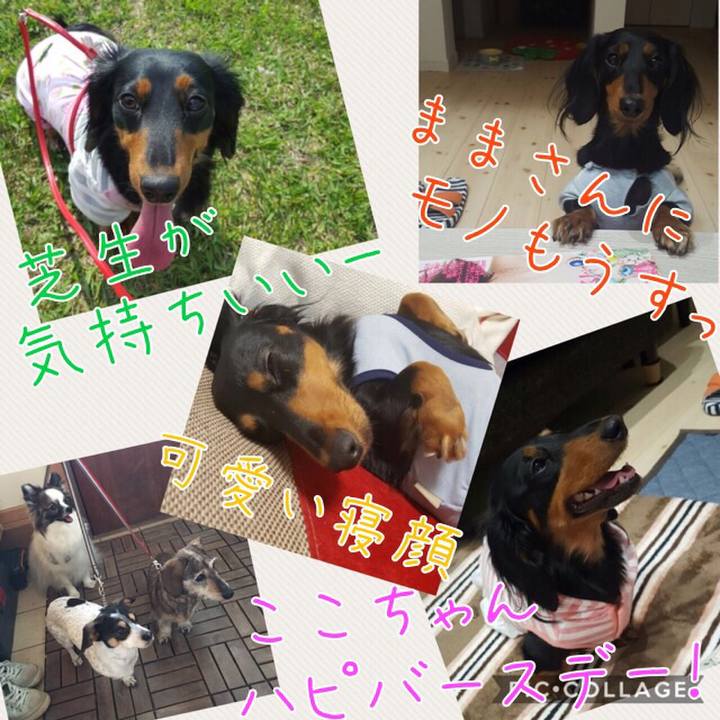 30f5af75 c9a9 4209 8b96 c306dbeb25d9